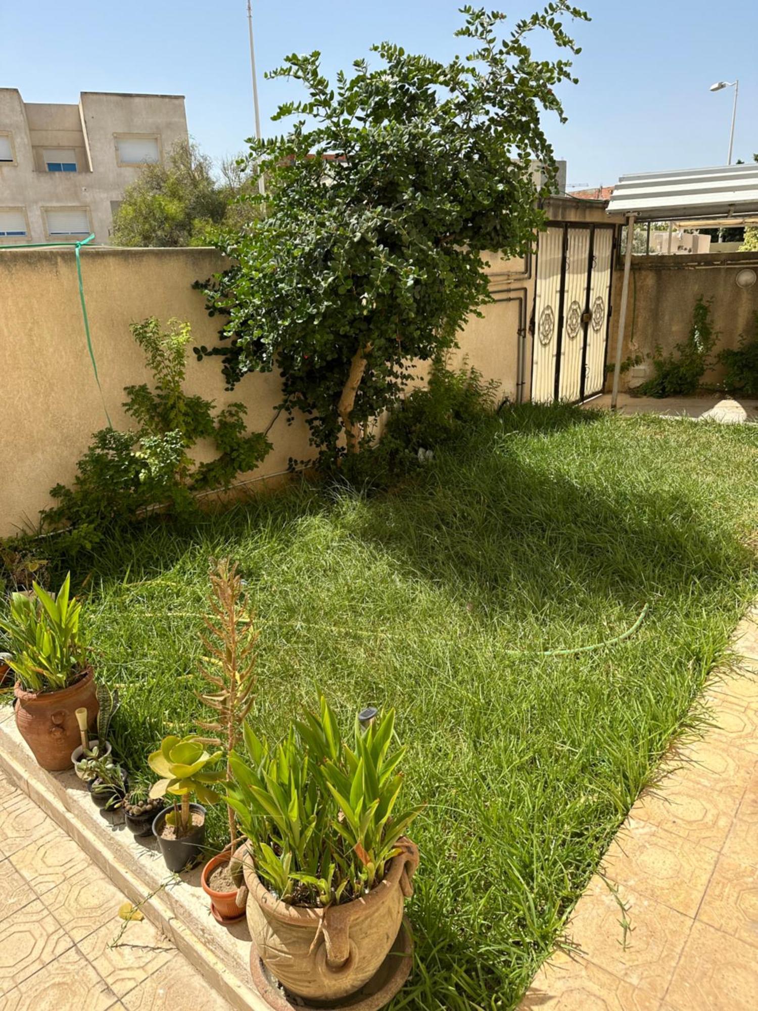 Apartmán Garden House Jardin De Carthage Sidi Daoud Exteriér fotografie
